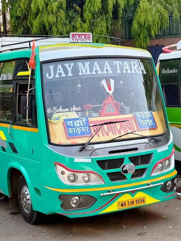 KALOSONA bus WB33K9556