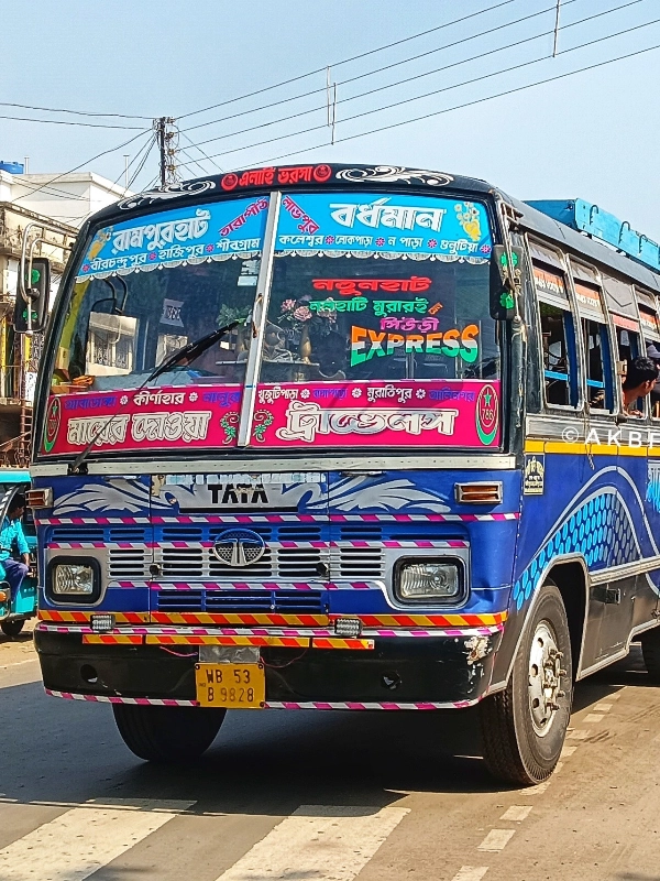 MAYER DOWA bus WB53B9828