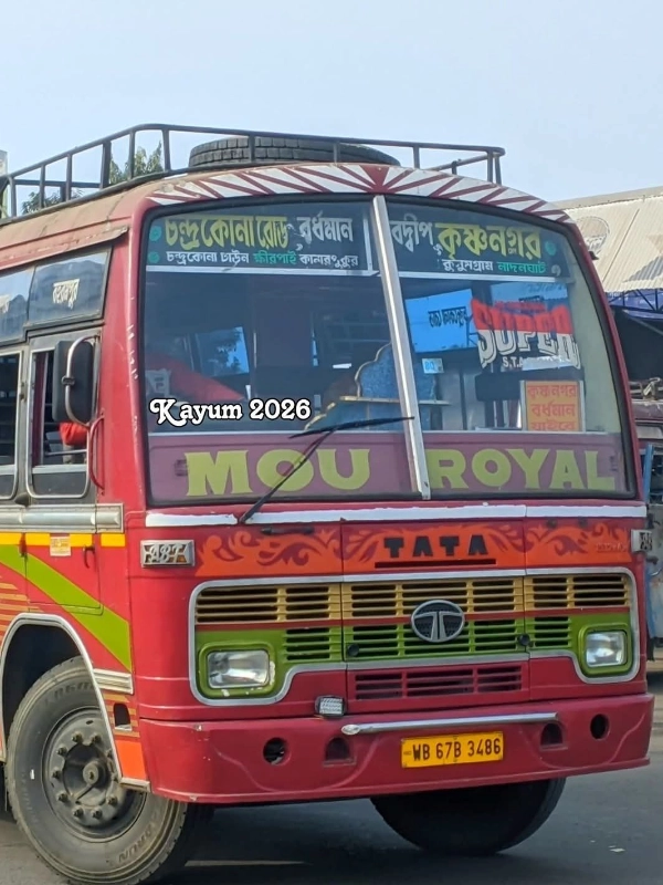 MOU ROYAL bus WB67B3486